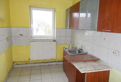 Casa batraneasca,  parter,  Dudestii Noi, 5 camere, teren 870mp - 7