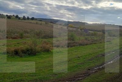 Teren de 1760 mp, în Corușu - 3