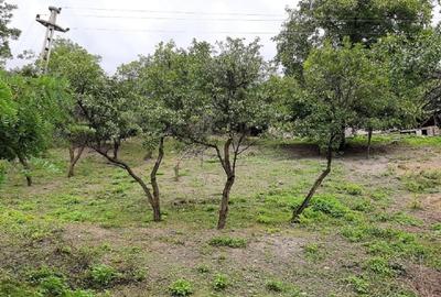 Teren intravilan de 1262 mp, în Bâsca Chiojdului - 2