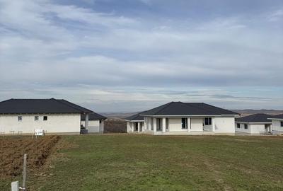 Spațiu comercial, în Paleu - 4