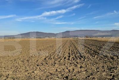 Teren de 5300 mp, în Arcalia - 2