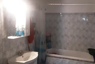 Casă individuală cu 5 camere în Cernișoara - 5