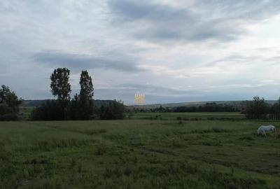 Teren 3953 mp Falticeni Tarna Mare De 0727817187 - 10