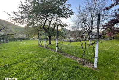 Teren de 1590 mp, în Firiza - 3