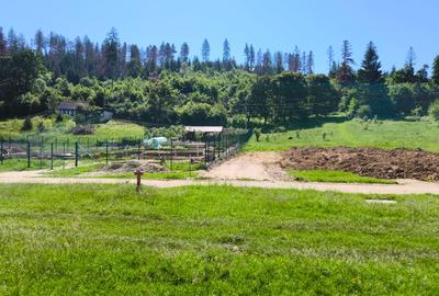 Teren intravilan în Cristian - Lunca Gării. - 4