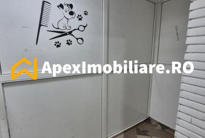 Spațiu comercial, de 54.540000915527 mp, în Drumul Taberei - 9