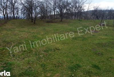 Teren de 2674 mp, în Cepari - 2