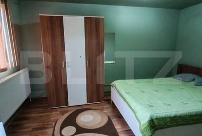 Casă cu 5 camere cu Teren 5000 Mp în Monor - 9