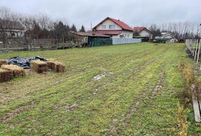Spațiu comercial, în Dridu - 5