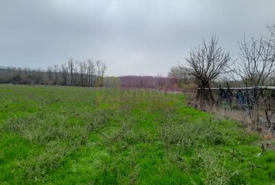 BARCANESTI -  casa +curte+teren 16k mp - 48