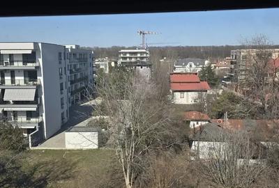 Apartament cu 4 camere decomandat, mobilat în Iancu Nicolae - 9