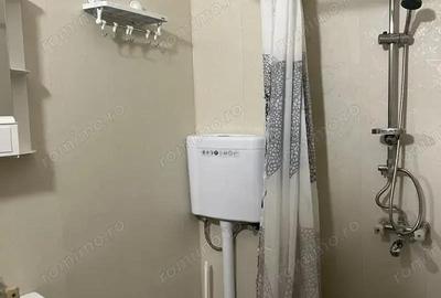 Apartament o camera de vanzare Buziasului - 1