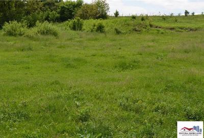 Teren de in Zona Livezeni - 3