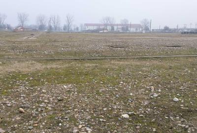 Spațiu comercial, în Tinca - 4