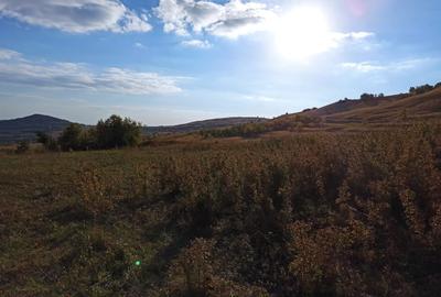 Teren de 21000 mp, în Jugureni - 4