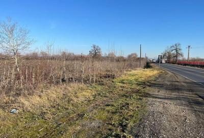 Teren intravilan, Sacadat, 27 921 mp. 9,5 Euro/mp. Comi... - 2