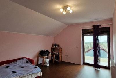 Casă cu Teren 3000 Mp în Rudna - 2