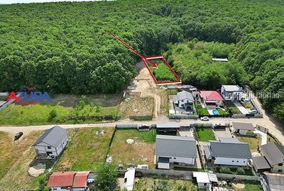 AZURA Imobiliare - Vanzare teren Hintesti, langa padure, 300m din DN - 3