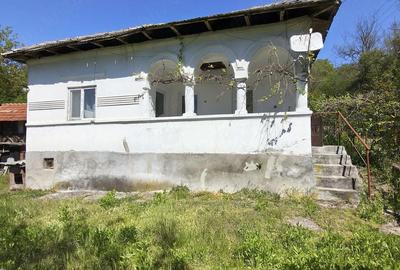 Casă cu 3 camere cu Teren 1400 Mp în Nicolae Bălcescu - 2