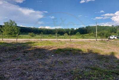 Teren intravilan 1843 mp - Cerbu/Albota/Arges - cu proiect d - 1