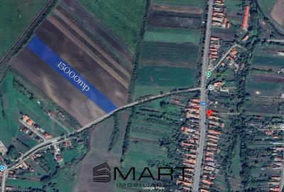 Teren Extravilan 15.000 mp Prejmer - 5