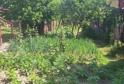 Casă cu 2 camere în Curtea de Argeș - 4
