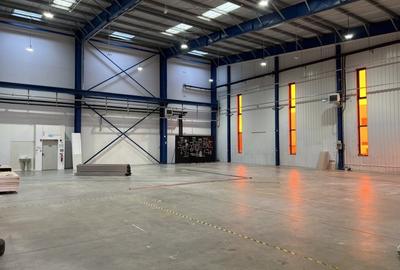 Hala clasa A / Autorizatie ISU /  Ideal productie - 6