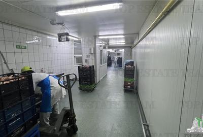 Hala de vanzare | 430 mp | Splaiul Unirii - 5