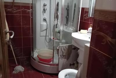 Apartament cu 2 camere semidecomandat în Berceni - 5