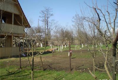 Teren de 1000 mp, în Central