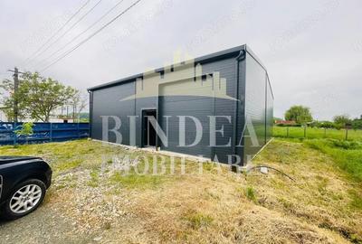 Hala in Pi?chia ideala pentru servicii, depozit sau activitate comerciala - 2