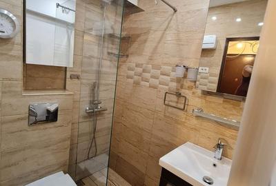 Garsonieră semidecomandată, mobilată în Buziașului - 7