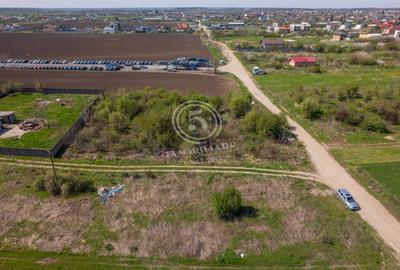 Teren Construcții intravilan de 3000 mp, în Jilava - 12