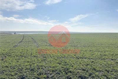 Spațiu comercial, în Central - 4