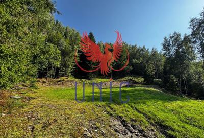 Teren Construcții extravilan de 18000 mp, în Exterior Est - 30