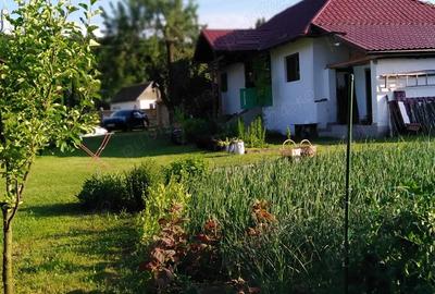 Casă cu Teren 2200 Mp în Moldovenești - 8