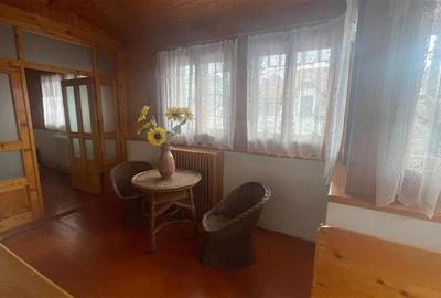 Ferdinand, cartier rezidential, vila burgheza cu magnolie - 9