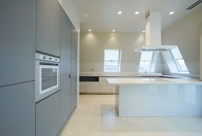 Penthouse lux 5 camere, terase, parcare Iancu Nicolae - 2