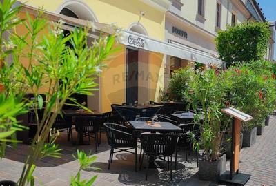 De vanzare -- Spatiu comercial parter 409 mp, Vasile Alecsandri - 40