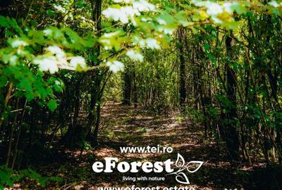 Teren de 1800 mp, în Cocani - 1