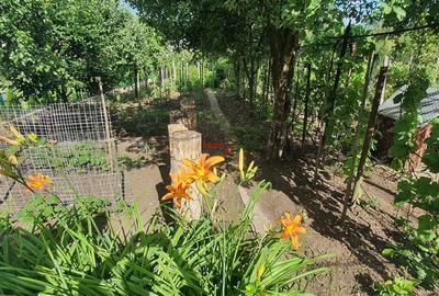 Casa cu etaj,S+P+E 791mp teren Zona Schit - 26