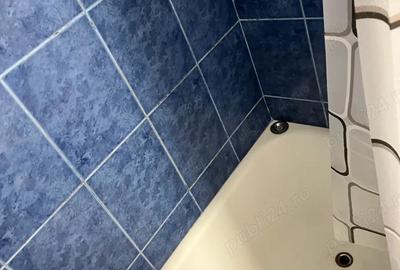 Inchirieri Apartament - 2