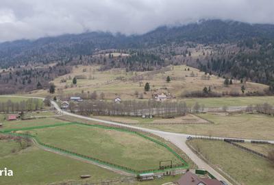 Spațiu comercial, în Plaiul Foii - 1