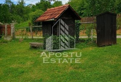 Casa bătrânească de vânzare | 4 camere | Hunedoara | Micănești - 7