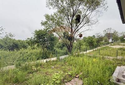 Casa noua de vanzare - 6