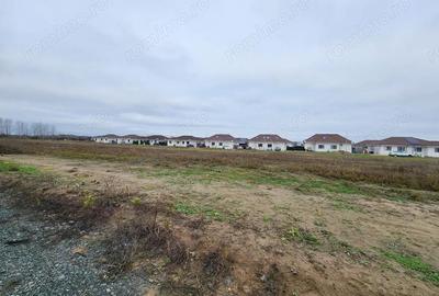 Teren de 530 mp, în Bucovăț (Remetea Mare)