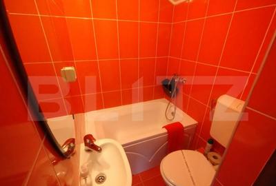 Cabana la Baile Figa cu 3 camere, 100 mp utili si teren de 1 - 8