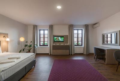 Pensiune 12 camere + restaurant,  zona Centrul Istoric - 4
