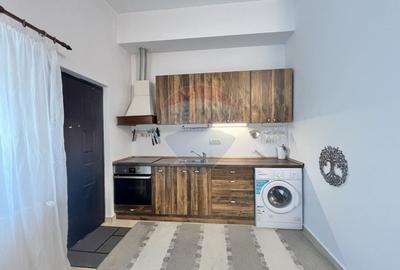 Casa atipica, spatioasa si versatila in comuna Pasarea (Branesti) - 39