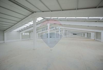 De vânzare – 2 hale industriale, 5.050 mp utili, Palota - 10